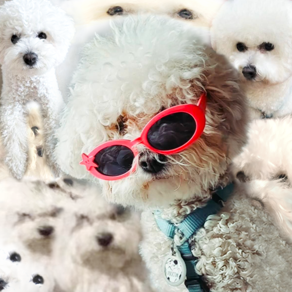 Шмурдики — Ламопад